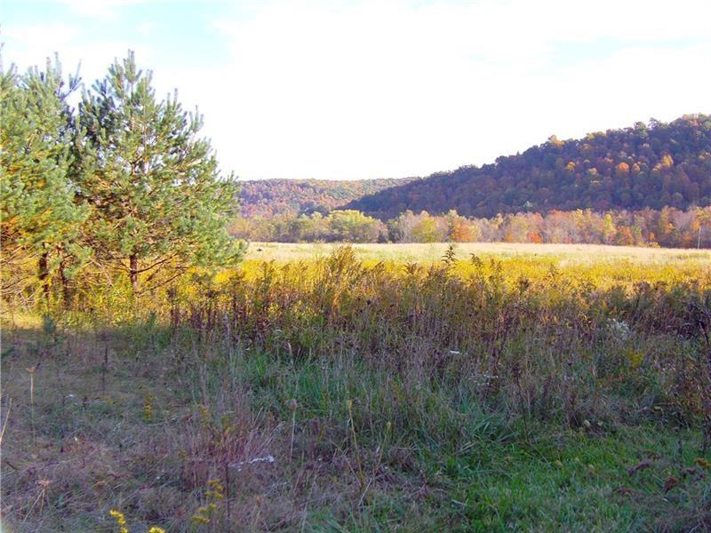 0 Byler Road Valier, PA 15780 - Photo 1 of 1