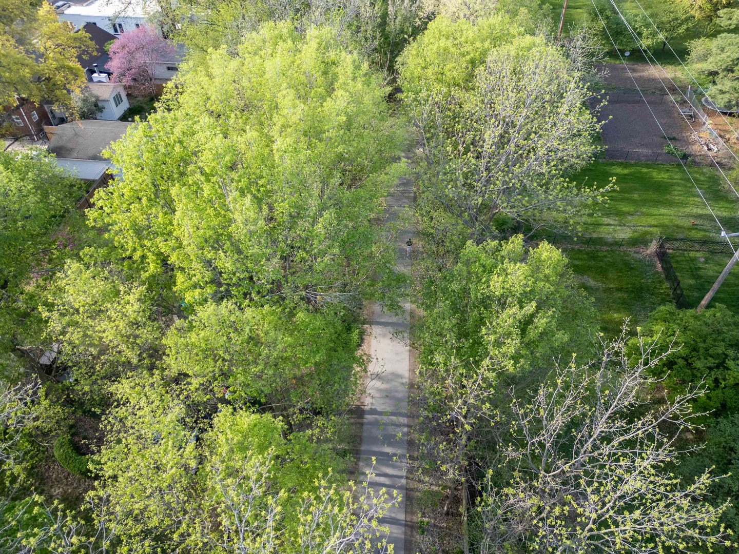1302 Hillcrest Street Normal, IL 61761 - Photo 47 of 48 a view of a garden with plants and a flower garden