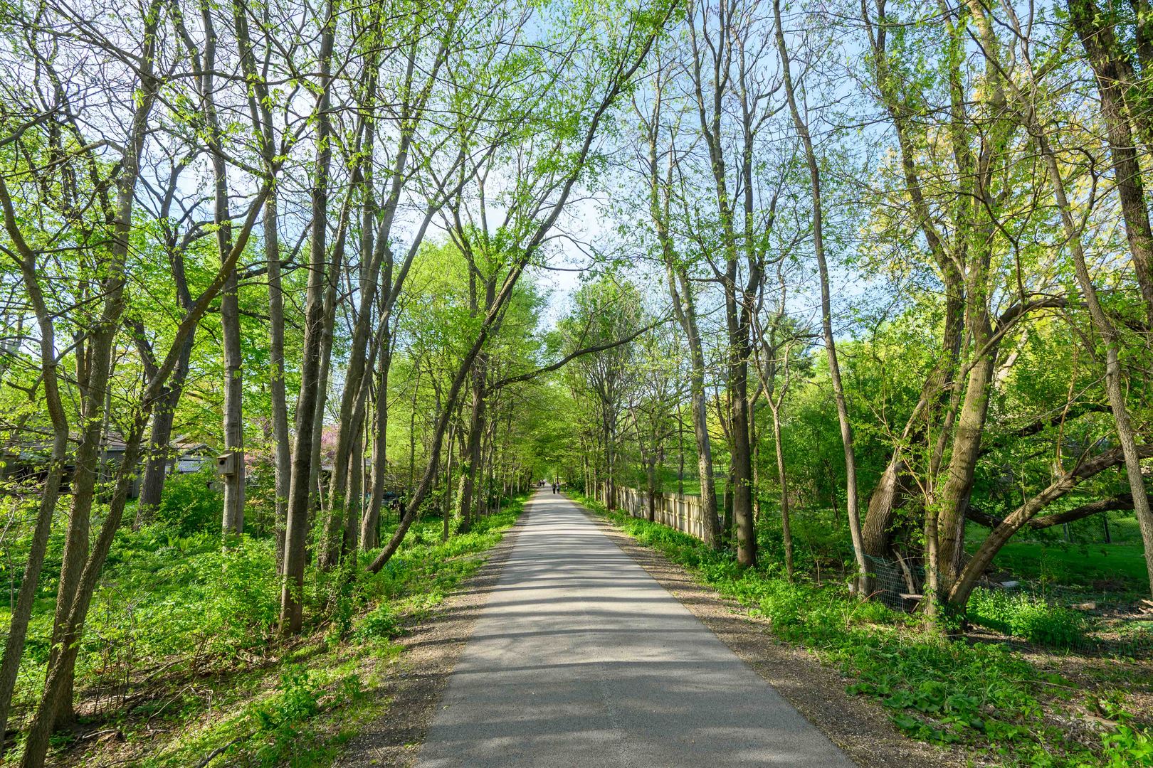 1302 Hillcrest Street Normal, IL 61761 - Photo 48 of 48 a view of a park with large trees