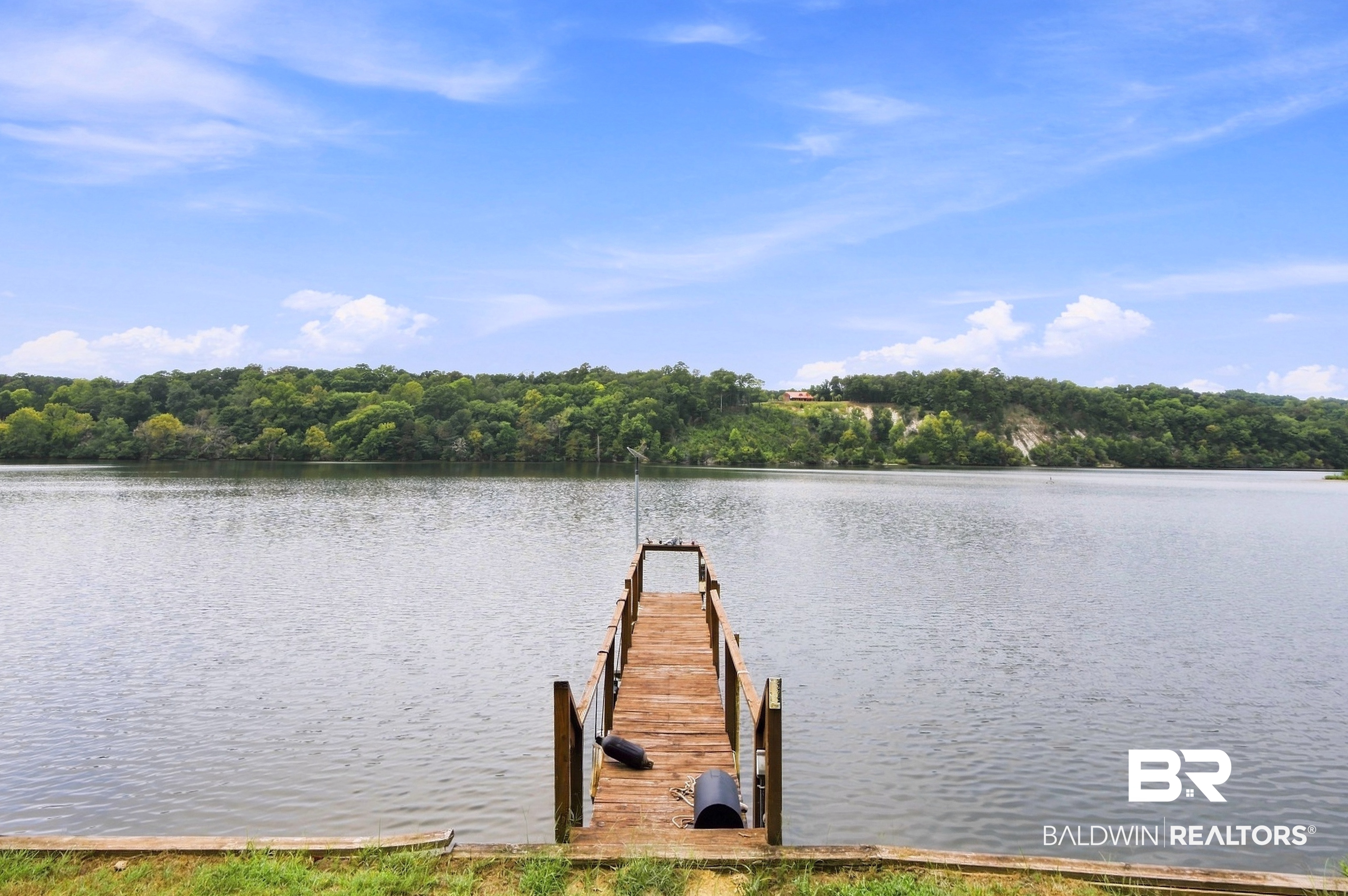 6043 Henderson Road Lowndesboro, AL 36752 - Photo 3 of 24 Gallery Image 3