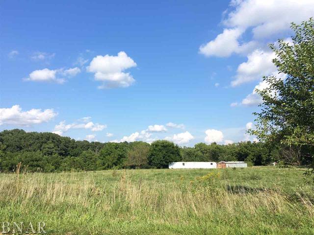 6132 Green Valley Road Clinton, IL 61727 - Photo 2 of 3