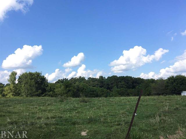 6132 Green Valley Road Clinton, IL 61727 - Photo 3 of 3