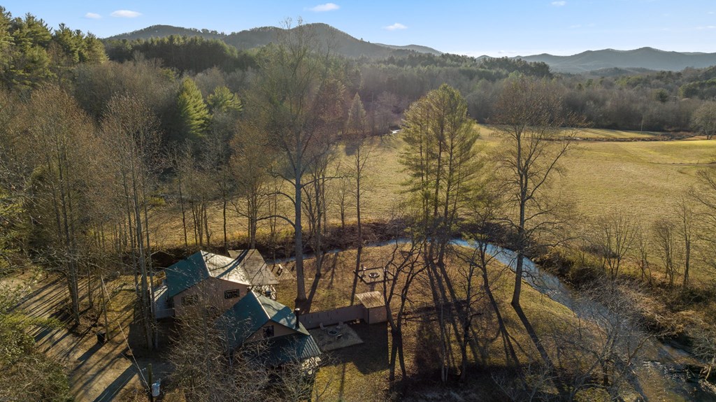 251 Sunny Brook Road Blue Ridge, GA 30513 - Photo 2 of 68 Gallery Image 2