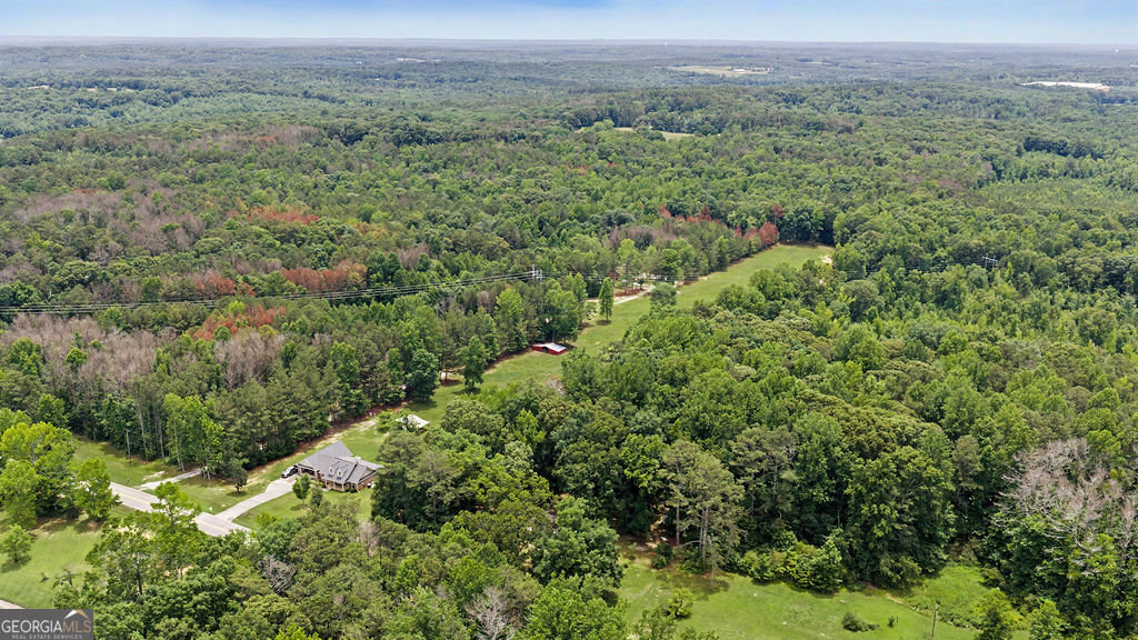 1665 Kansas Jake Road Waco, GA 30182 - Photo 16 of 26