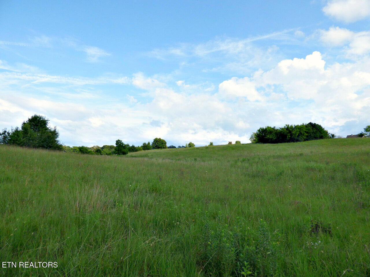 3 Wells Spring Road Dandridge, TN 37725 - Photo 10 of 18 P1310596