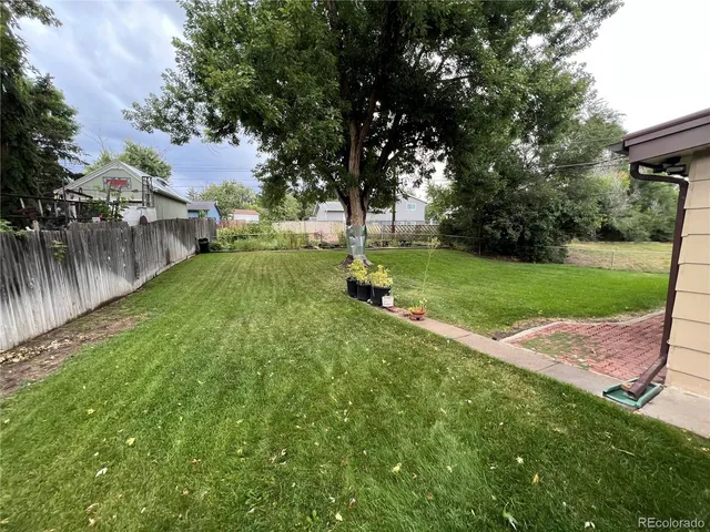 a view of a park with large trees