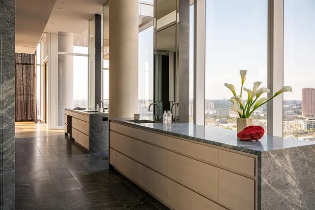 a kitchen with stainless steel appliances a sink and a potted plant