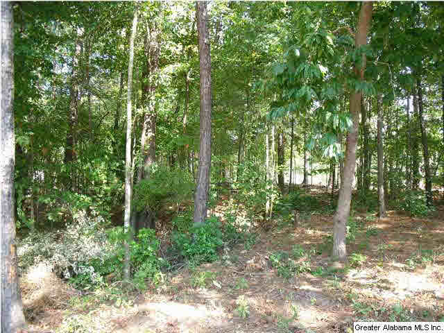 13160 Hobby Horse Road Vance, AL 35490 - Photo 1 of 1