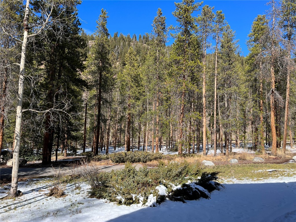 624 Montezuma Road Keystone, CO 80435 - Photo 9 of 23 a view of yard with trees
