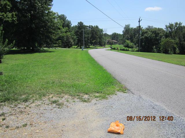 7208 Crow Cut Road Fairview, TN 37062 - Photo 2 of 5 Street Scene