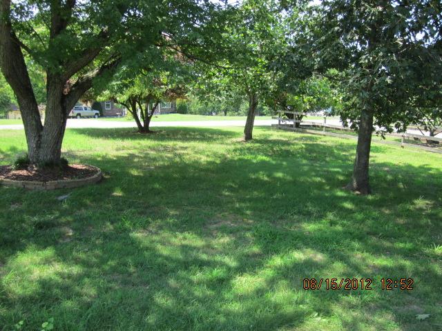 7208 Crow Cut Road Fairview, TN 37062 - Photo 5 of 5 Tree filled front yard