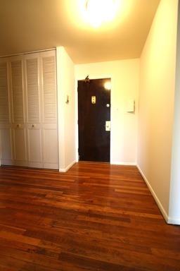 8876 Golf Road, Unit 2B Des Plaines, IL 60016 - Photo 3 of 6
