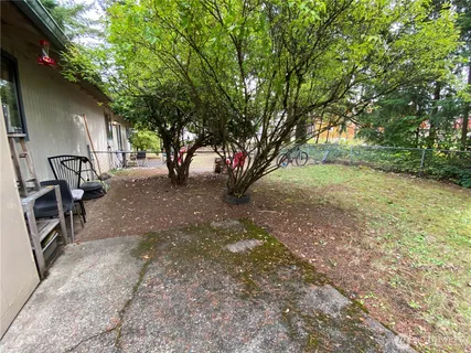 a view of a backyard with large trees