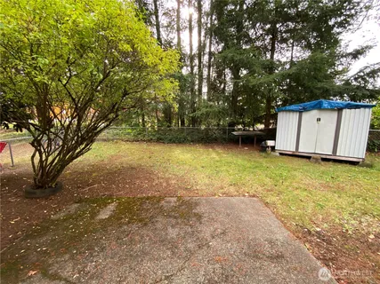 a view of a backyard with large trees