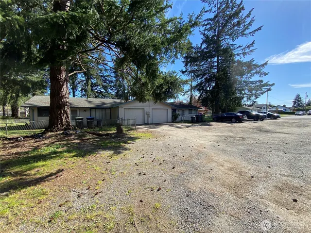 a view of a yard with a tree