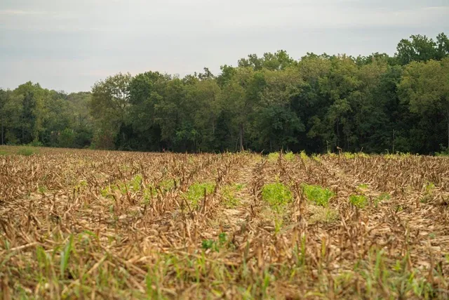 $216,375 | 58 Highway 58, Holden, MO 64040