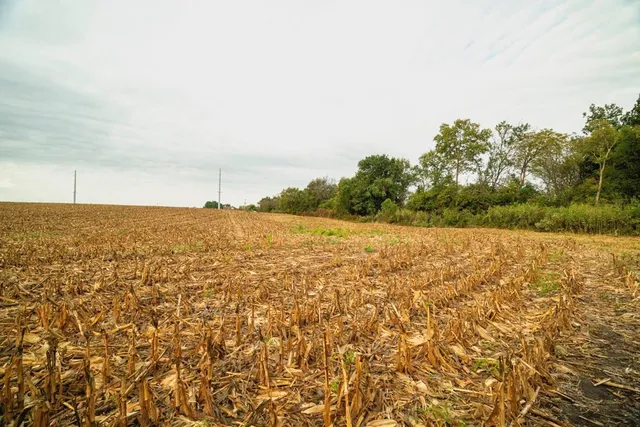 $216,375 | 58 Highway 58, Holden, MO 64040