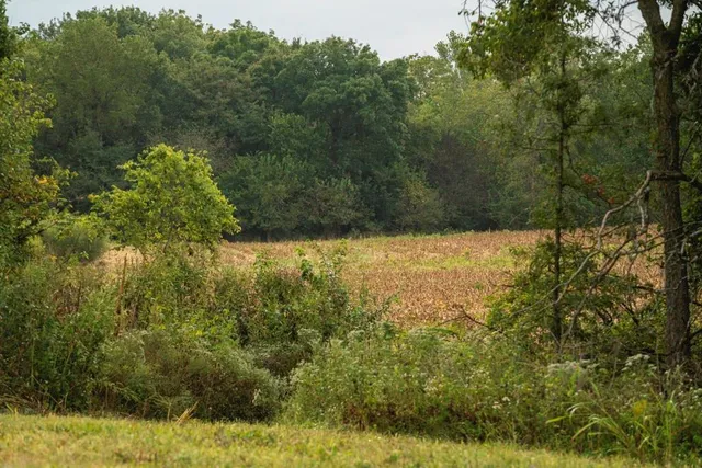 $216,375 | 58 Highway 58, Holden, MO 64040