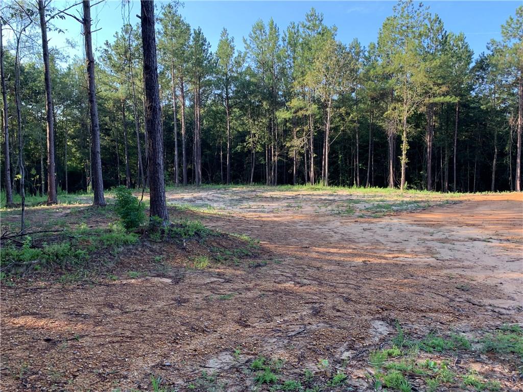58488 Carroll Sheridan Road Angie, LA 70426 - Photo 7 of 14 Gallery Image 7
