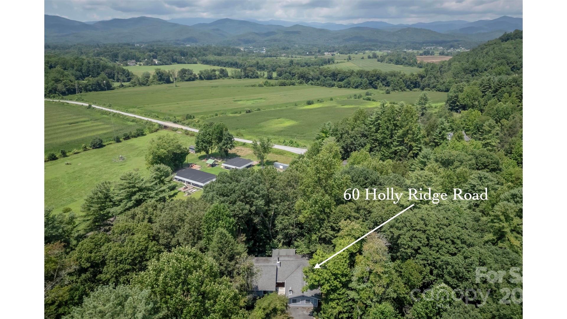 60 Holly Ridge Road Pisgah Forest, NC 28768 - Photo 2 of 42 Gallery Image 2