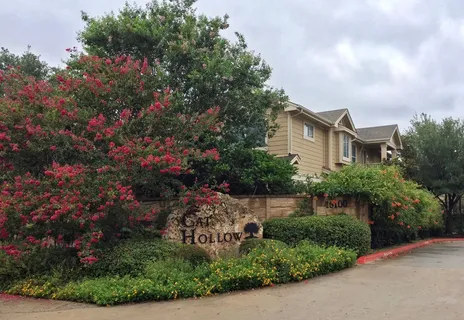 a view of a house with a backyard and garden