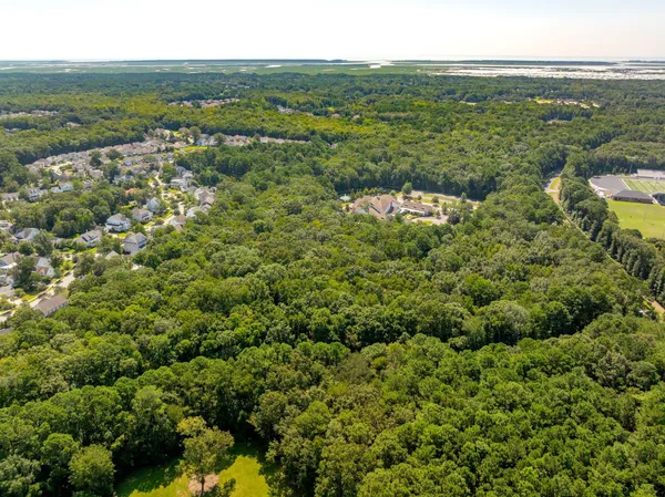 $3,250,000 | 0 Darrell Creek Trail, Mount Pleasant, SC 29466