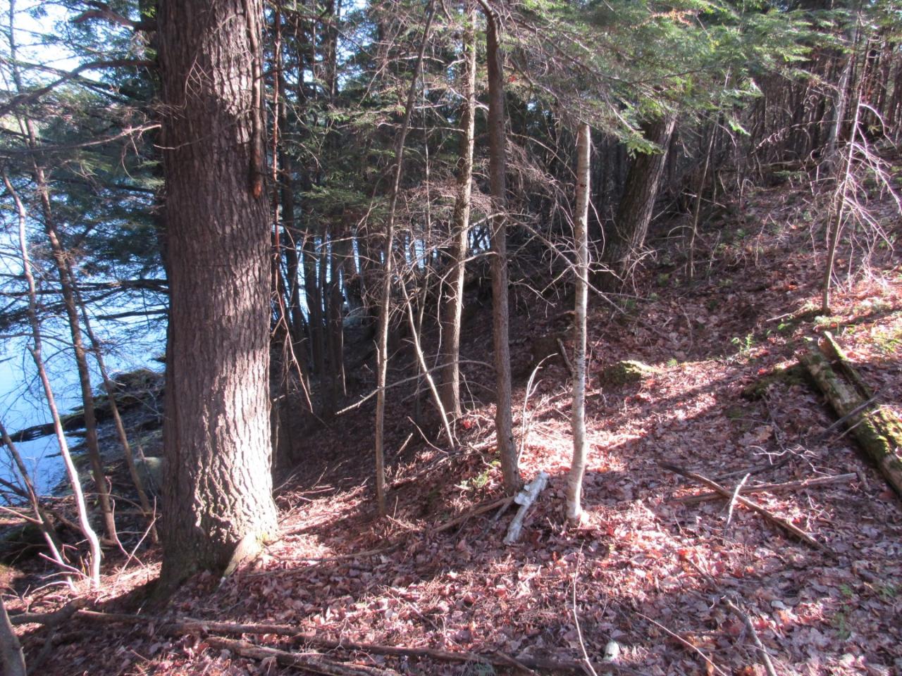 Along Hewitt Road, Unit LOT 1 Mercer, WI 54547 - Photo 13 of 32 Gallery Image 13