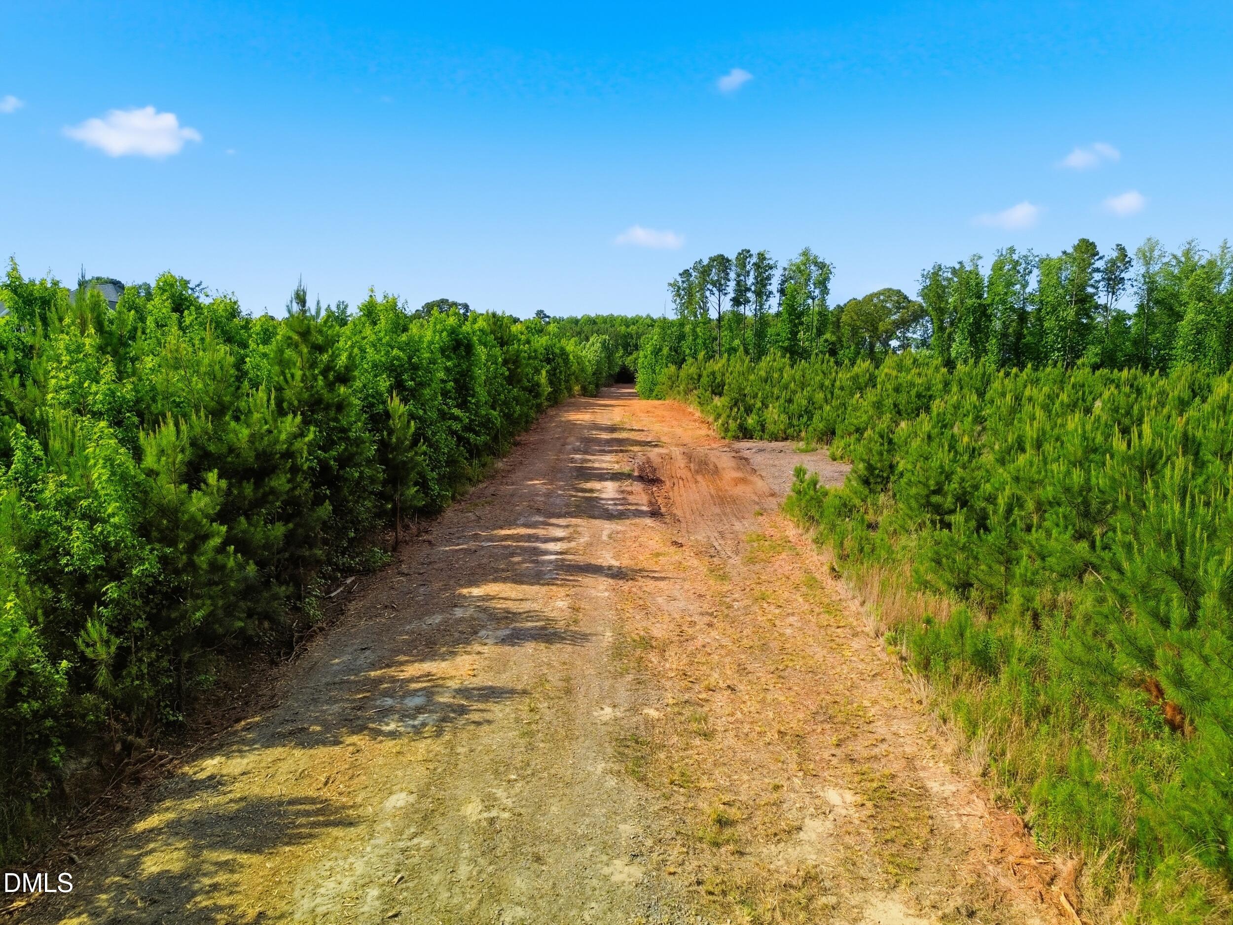 6.48-acres Flower Hill Road Middlesex, NC 27557 - Photo 7 of 9