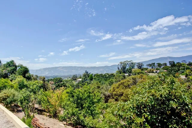 view of a bunch of trees and bushes