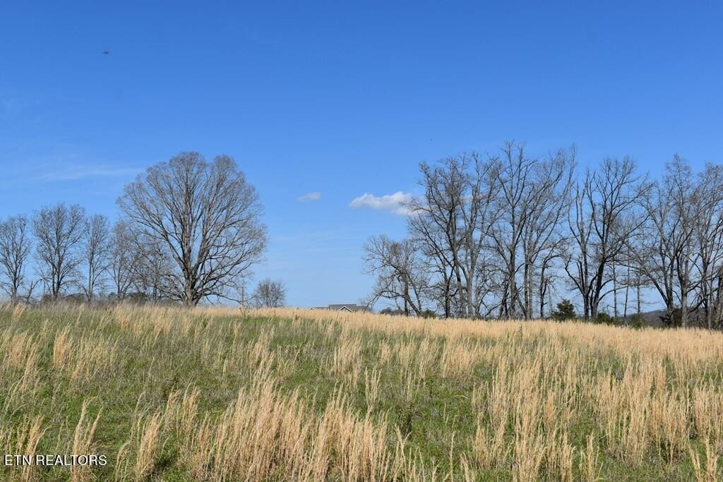 18 Temple Road Seymour, TN 37865 - Photo 2 of 3 Gallery Image 2