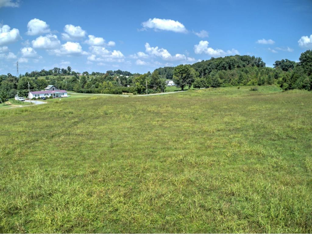 422 Bill West Road Limestone, TN 37681 - Photo 3 of 12 Photo 3