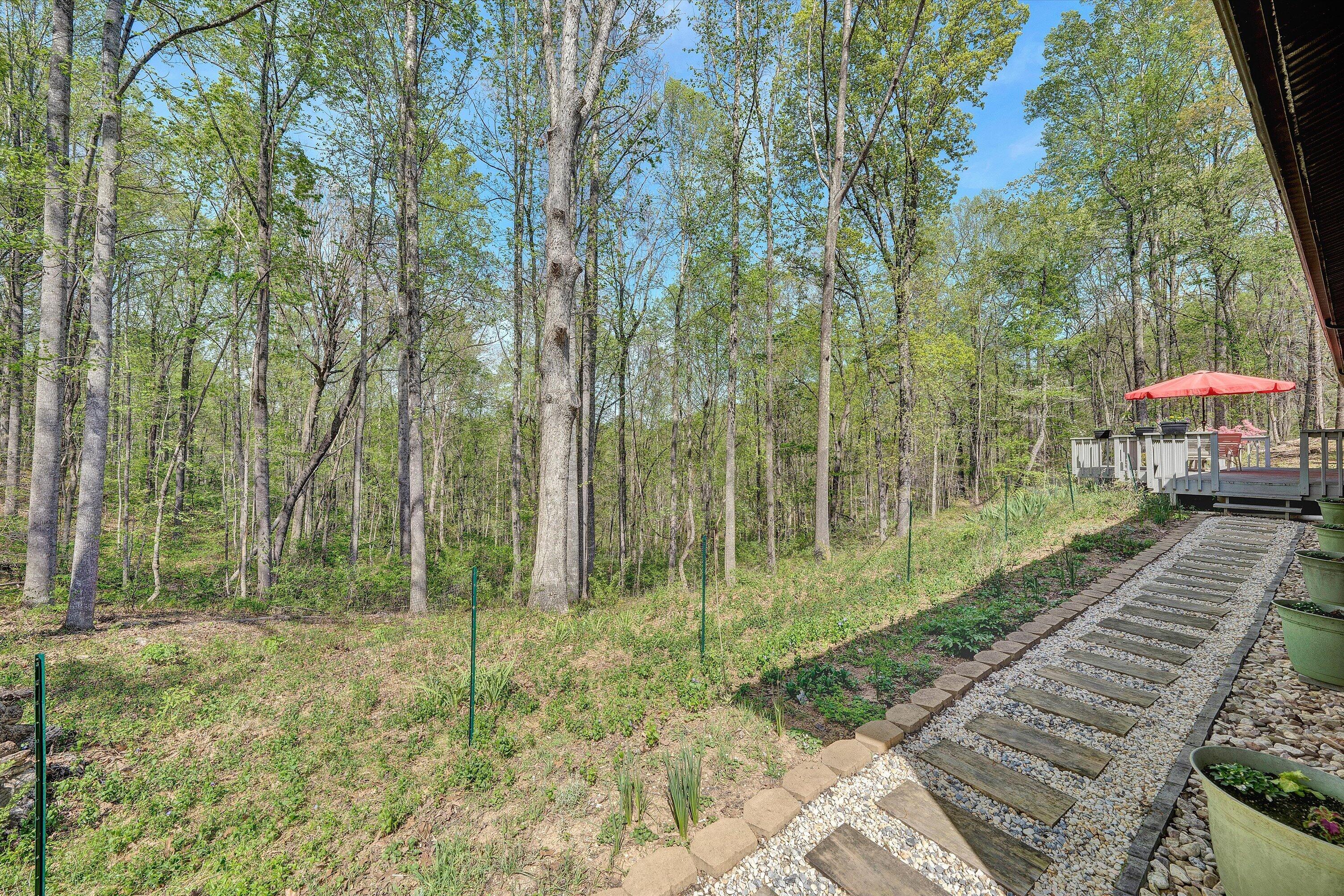 1124 Old Hollow Road Buchanan, VA 24066 - Photo 35 of 73 34-DSC00402