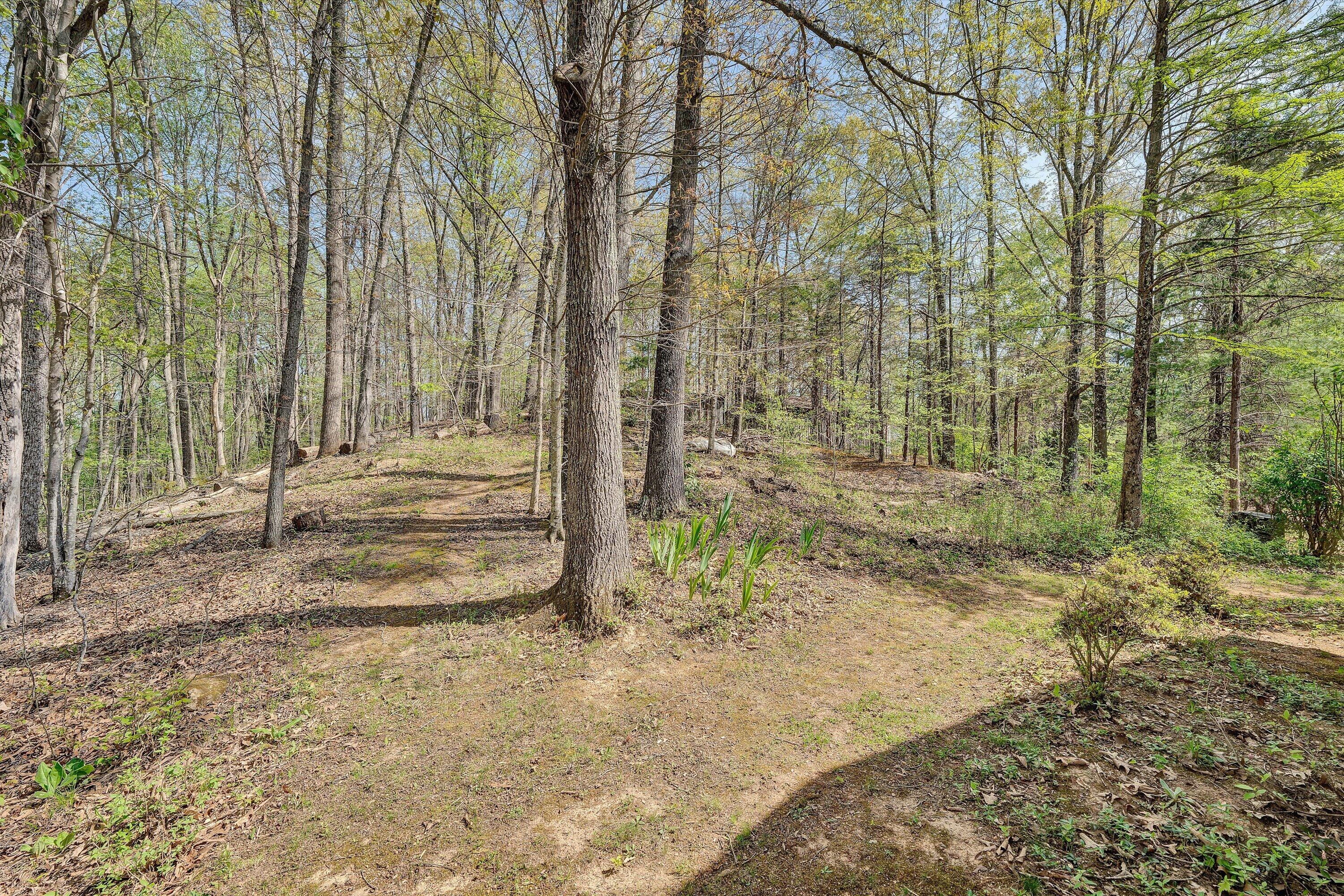 1124 Old Hollow Road Buchanan, VA 24066 - Photo 40 of 73 39-DSC00417