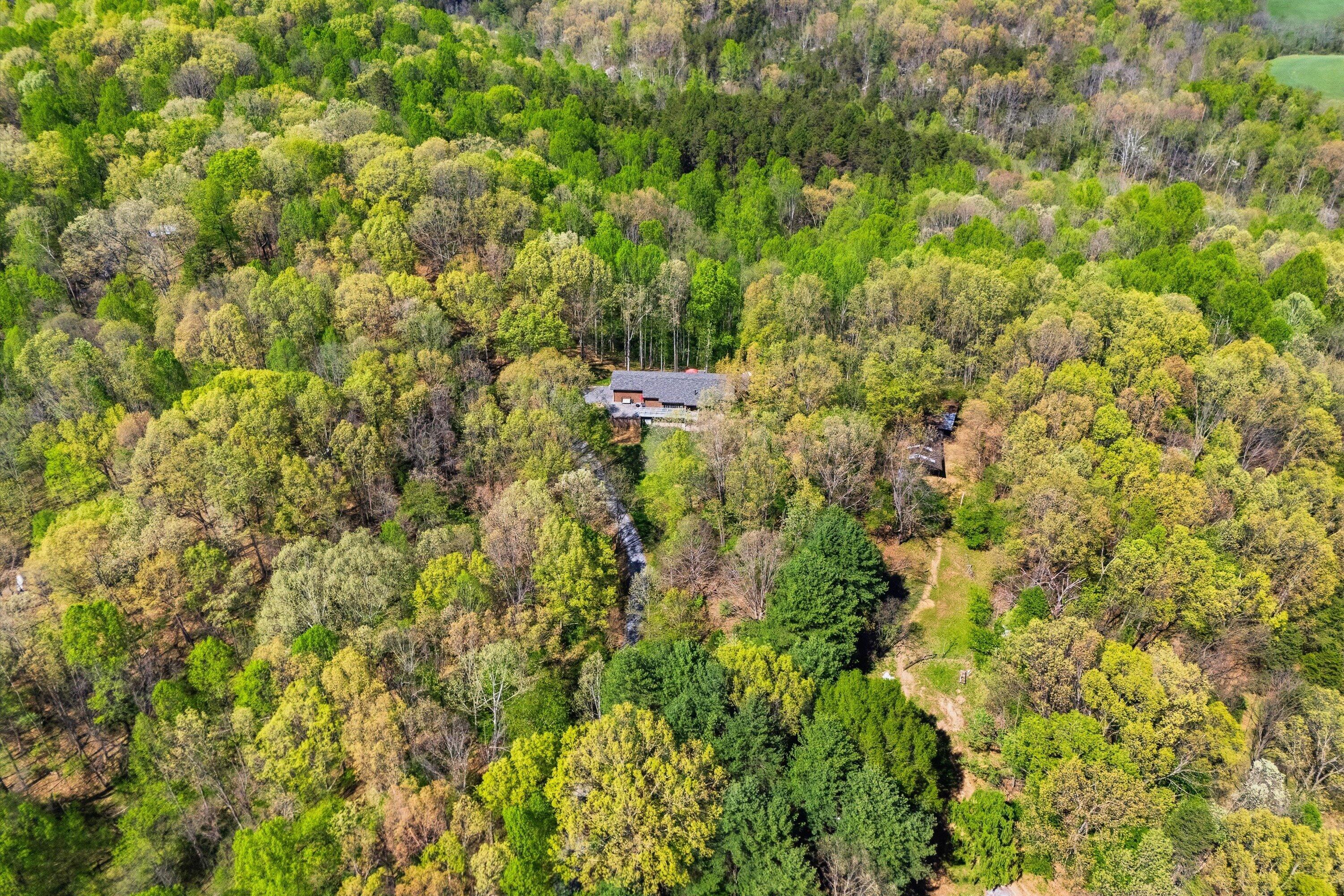 1124 Old Hollow Road Buchanan, VA 24066 - Photo 62 of 73 61-DJI_20260415152835_0234_D