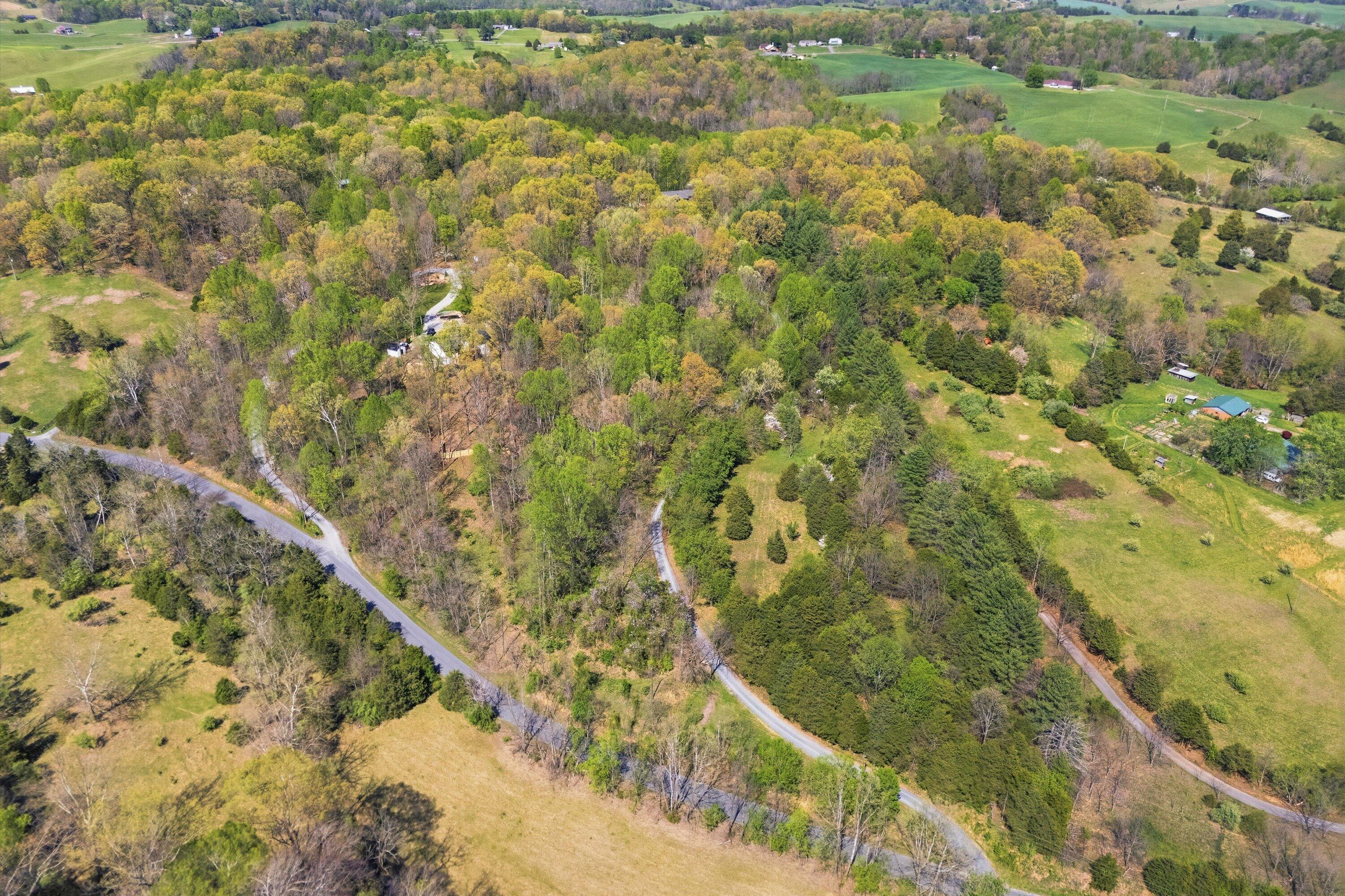 1124 Old Hollow Road Buchanan, VA 24066 - Photo 64 of 73 63-DJI_20260415152729_0222_D