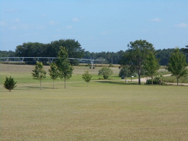 321 Fodie Road Quitman, GA 31643 - Photo 42 of 48 Gallery Image 42