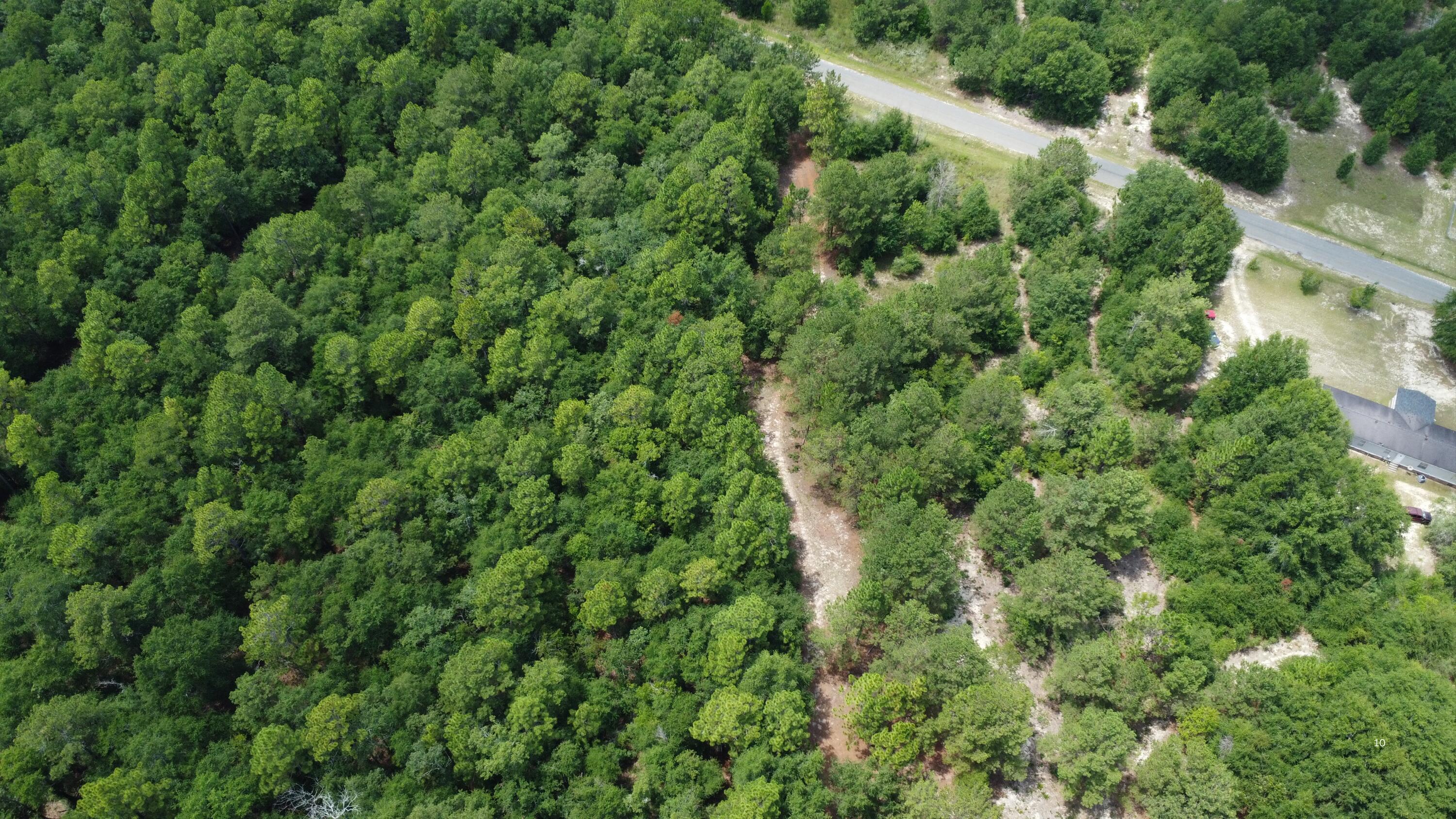 2252 Windsor Road Springfield, SC 29146 - Photo 12 of 19 Gallery Image 12