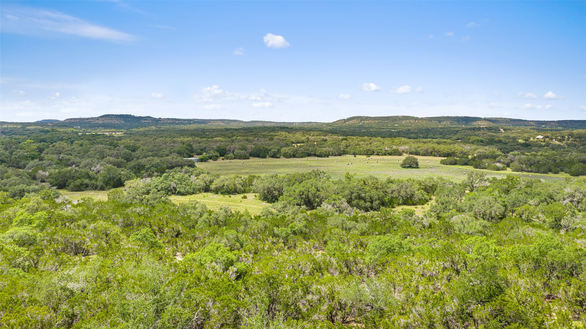 505 Red Corral Ranch Road Wimberley, TX 78676 - Photo 12 of 40 Acres of verdant trees and open fields unfold under a clear sky, offering a peaceful, expansive setting.