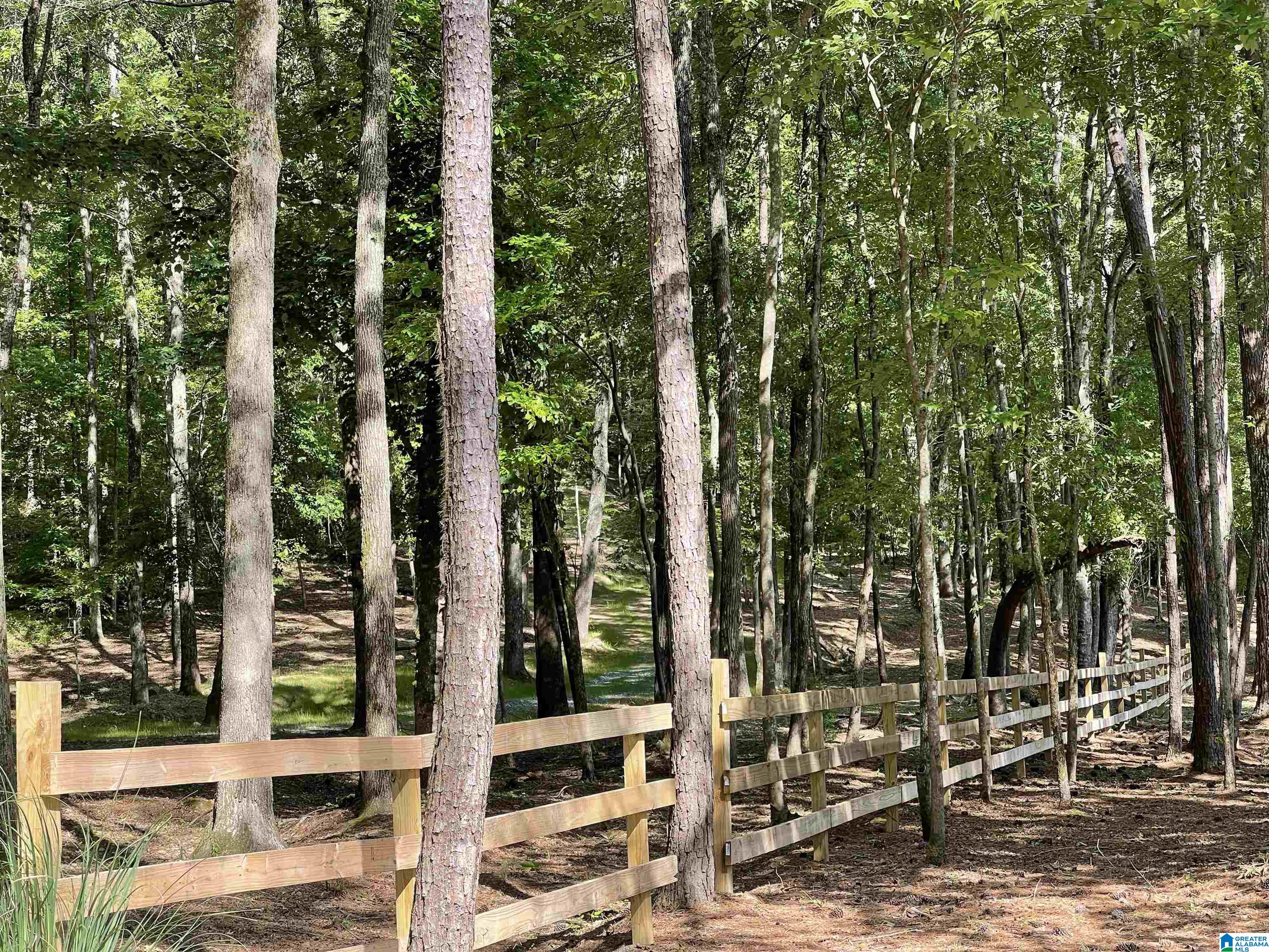 84 Rustic Drive, Unit 2 Harpersville, AL 35078 - Photo 4 of 23