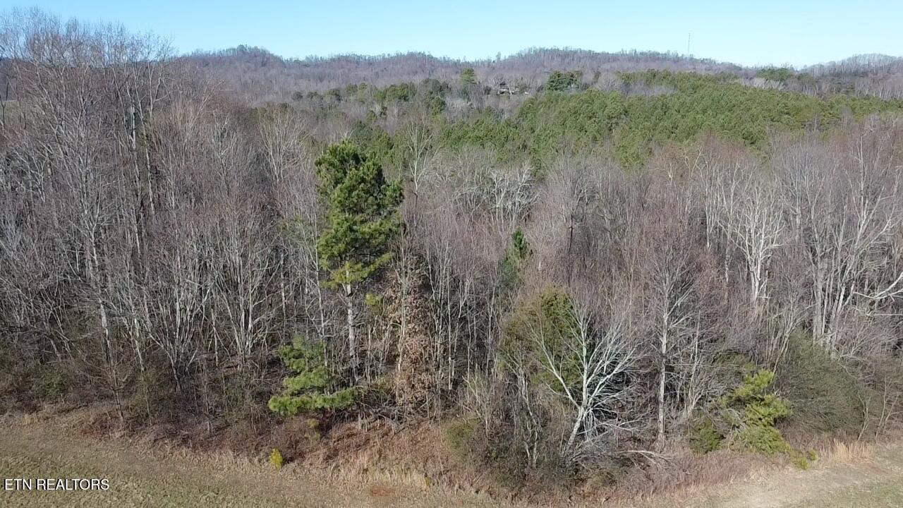 Liberality Road Madisonville, TN 37354 - Photo 12 of 16 2026-01-12-11-35-40-361