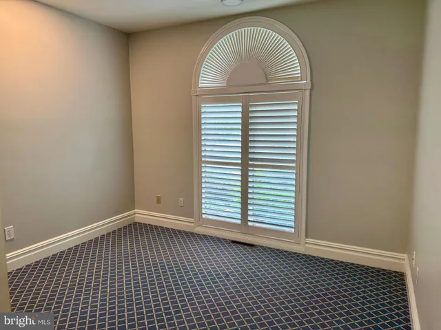 a view of a garden with plants