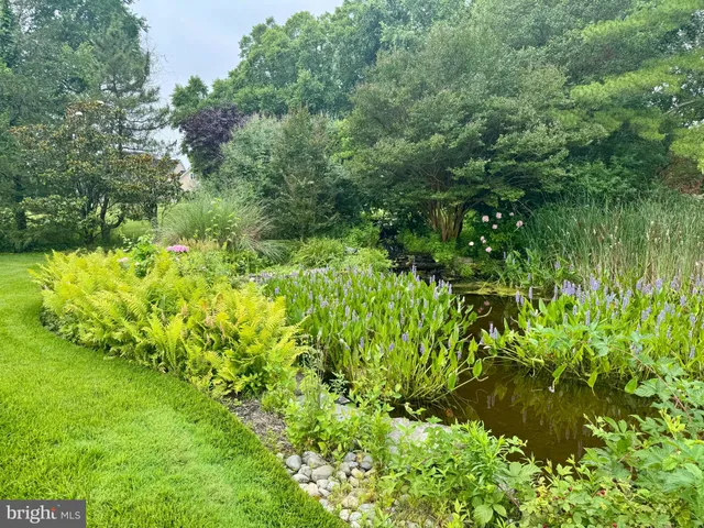 a view of a garden with a slide