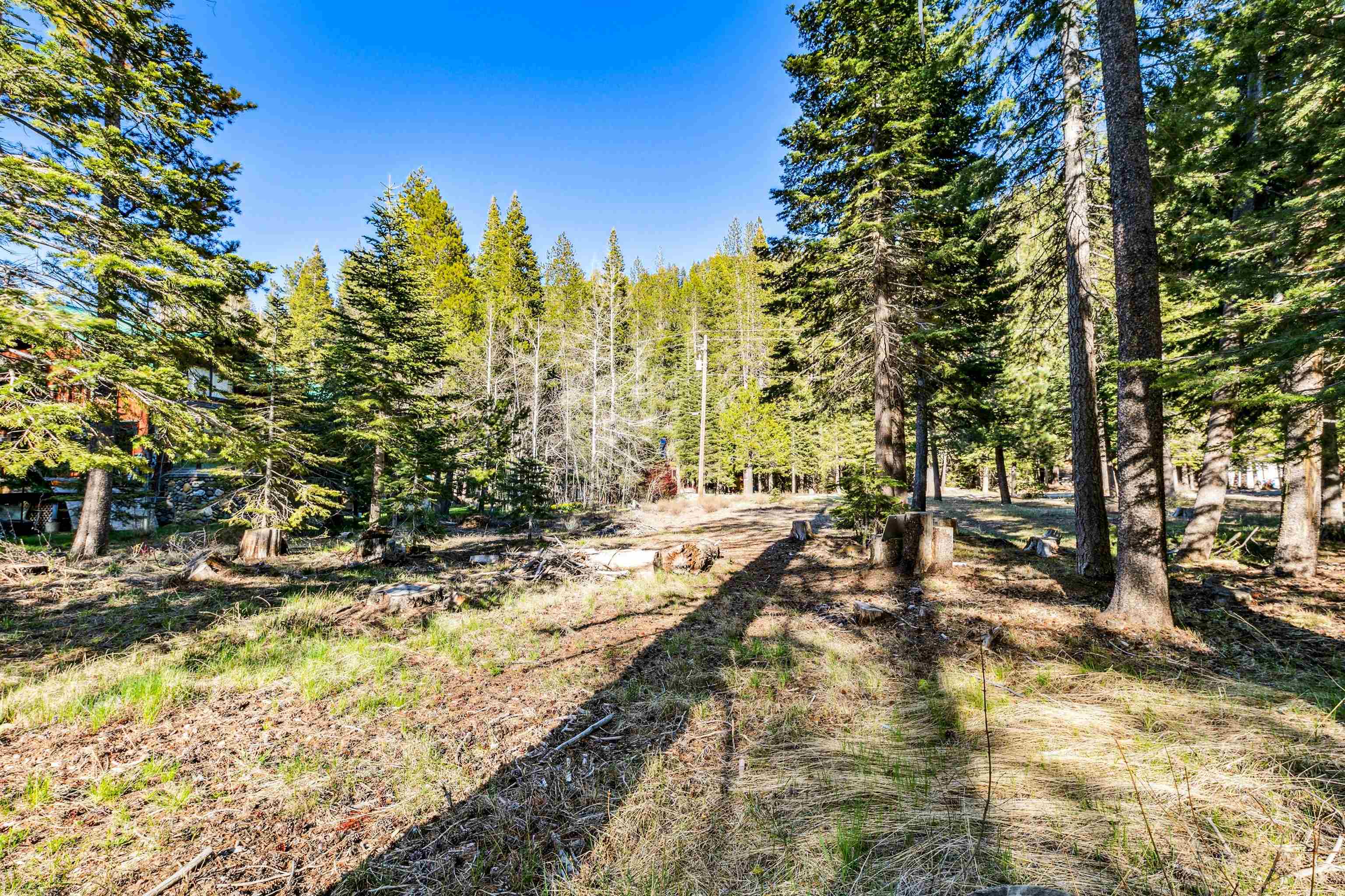 7898 River Road Truckee, CA 96161 - Photo 17 of 20 a view of a yard with trees