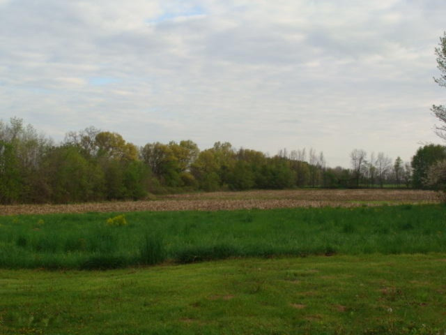7541 Schaeffer Road Muir, MI 48860 - Photo 3 of 16 DSC05829