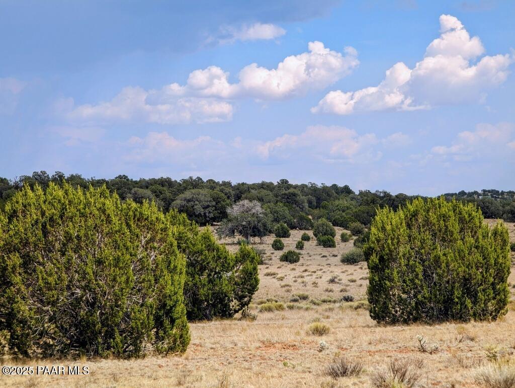 1115 North Jackpot Ranch Road Seligman, AZ 86337 - Photo 1 of 6 Photo 1