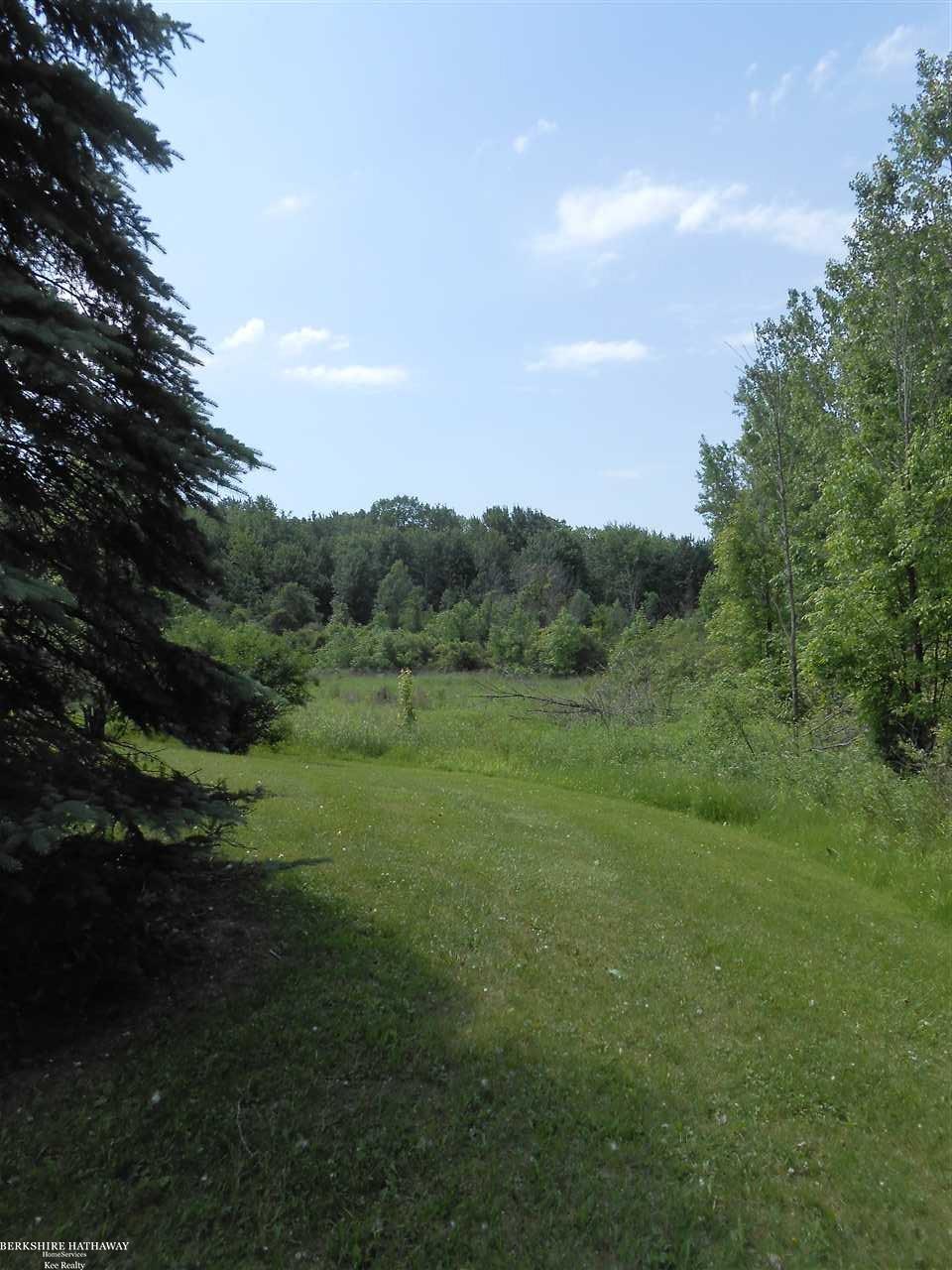 21820 Pratt Road Armada, MI 48005 - Photo 19 of 40 Back yard tree line