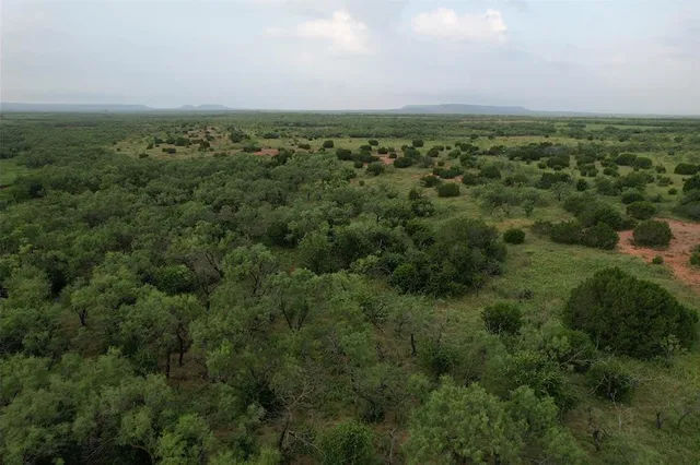 a view of a forest with a yard