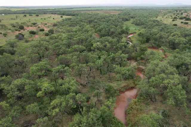 a view of a green field with lots of trees in it
