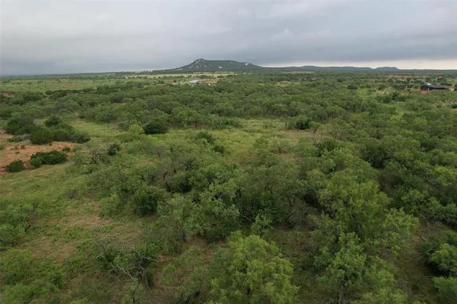 a view of a lush green forest with lush green forest and mountain view