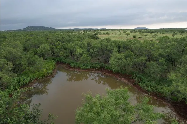 an aerial view of forest